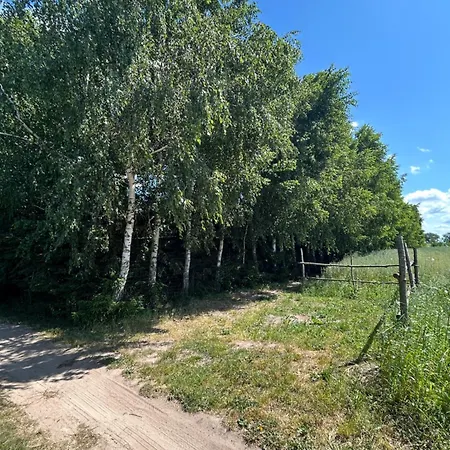 Letniskowy Na Mazurach Nad Stawem